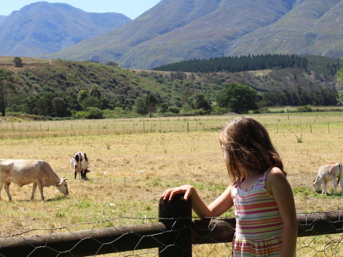 Arumvale Country Retreat Swellendam Zewnętrze zdjęcie