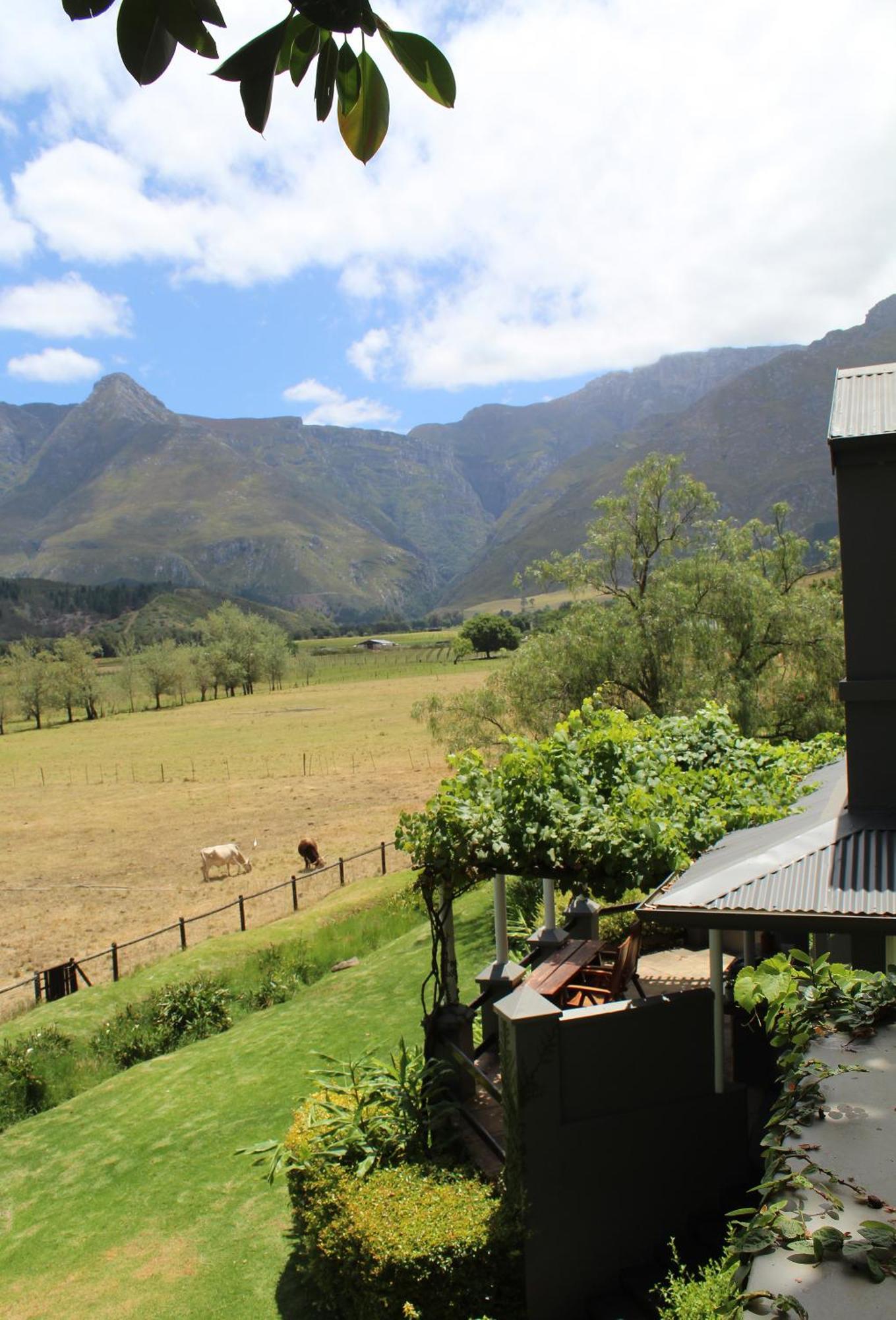 Arumvale Country Retreat Swellendam Zewnętrze zdjęcie