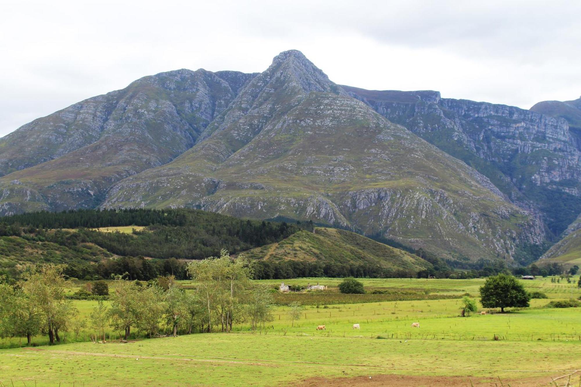 Arumvale Country Retreat Swellendam Zewnętrze zdjęcie