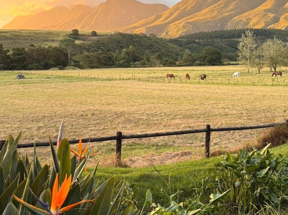 Arumvale Country Retreat Swellendam Zewnętrze zdjęcie